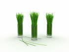 How Lemongrass Enhances Value of Thai Food?